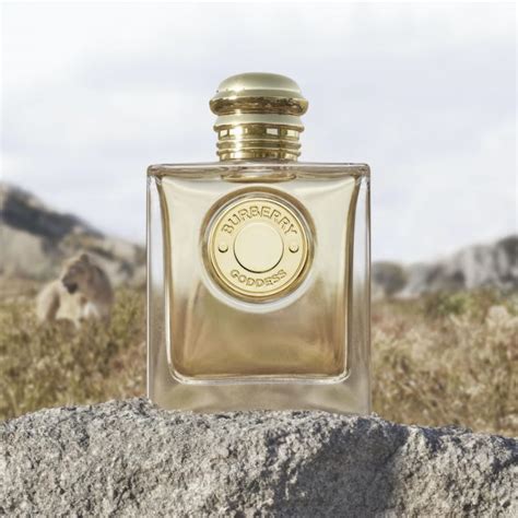 Burberry goddess vanilla perfume